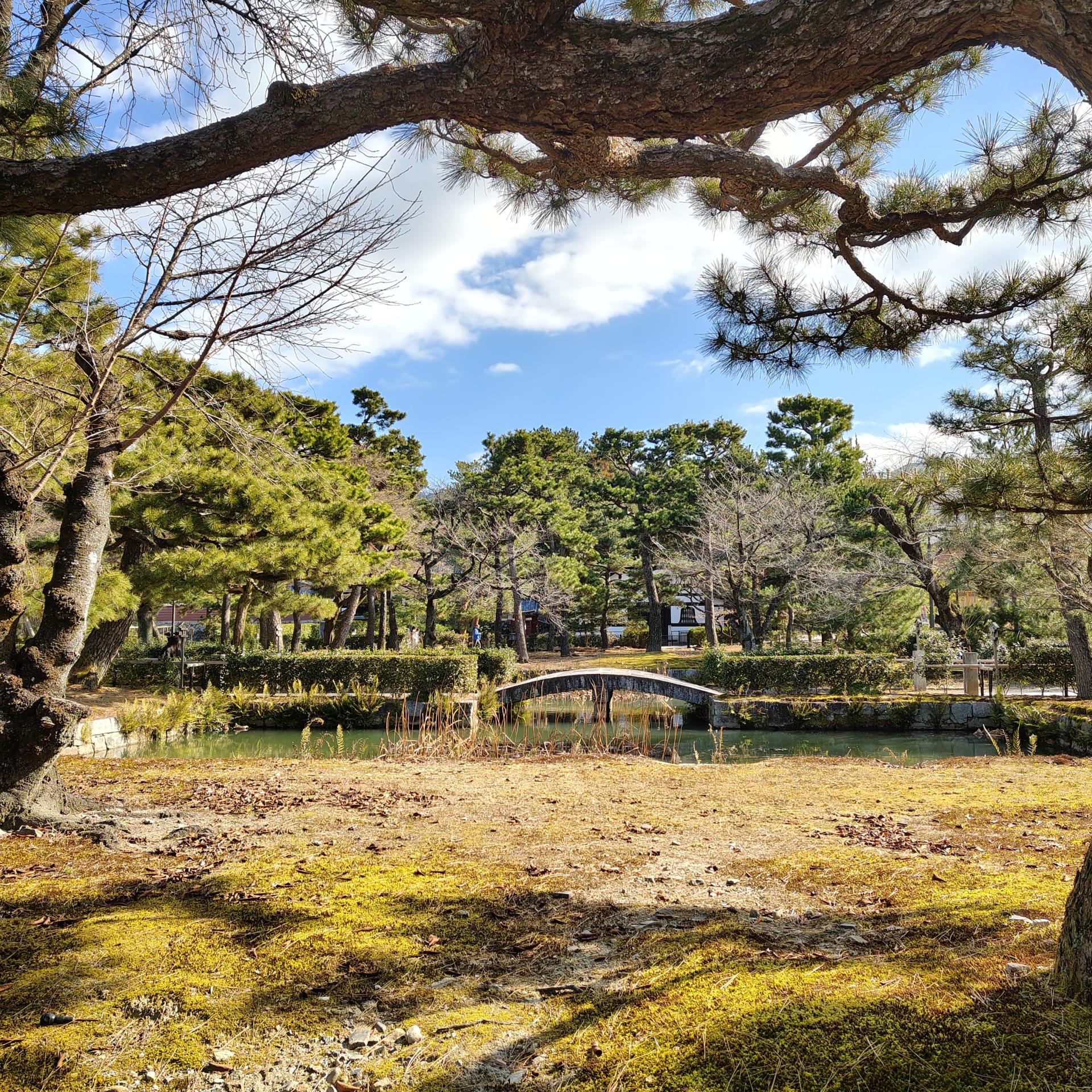 jardin
